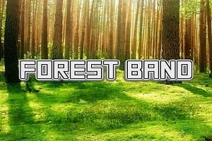 Slot Brand Image for Forest Band