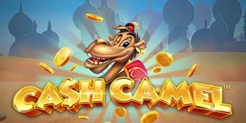 Slot Brand Image for Φρουτάκι Cash Camel