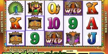 Slot Brand Image for Tiger Treasure