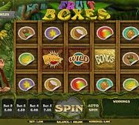 Slot Brand Image for Fruit Boxes